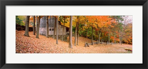 Framed Trees On A Hill, Connecticut Print