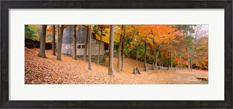 Framed Trees On A Hill, Connecticut Print