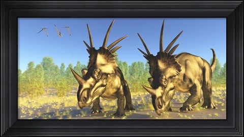 Framed flock of Pterodactylus fly above two Styracosaurus Dinosaurs Print