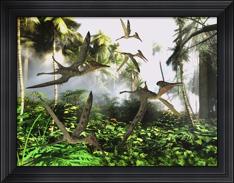 Framed flock of Pterodactylus reptiles fly over the jungle searching for their next meal Print