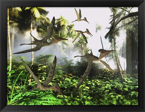 Framed flock of Pterodactylus reptiles fly over the jungle searching for their next meal Print