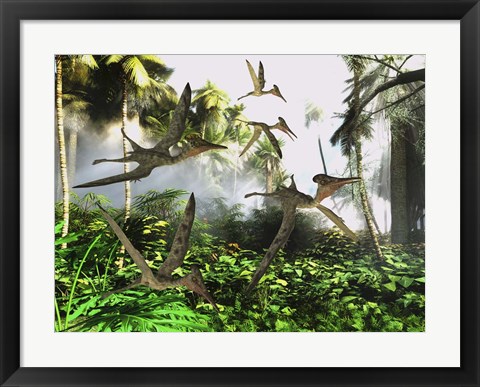 Framed flock of Pterodactylus reptiles fly over the jungle searching for their next meal Print