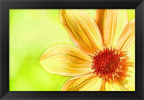 Framed Daisy Glow Print