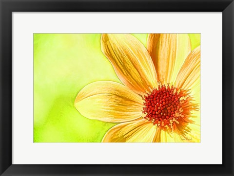 Framed Daisy Glow Print