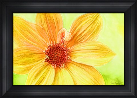 Framed Daisy Love Print