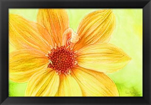 Framed Daisy Love Print