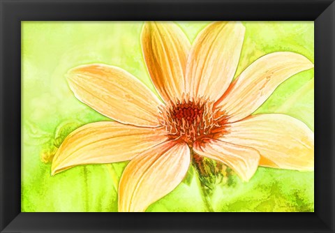 Framed Daisy Sunshine Print