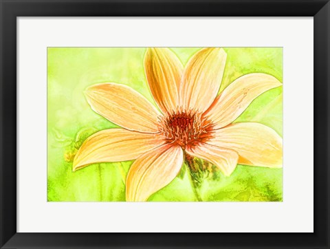 Framed Daisy Sunshine Print