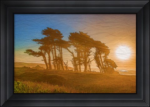Framed Beach Trees Print