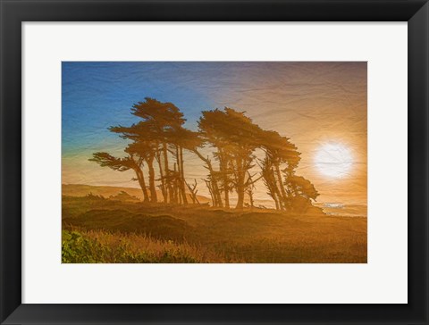 Framed Beach Trees Print