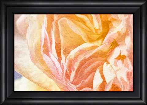 Framed Dew Drop In Print