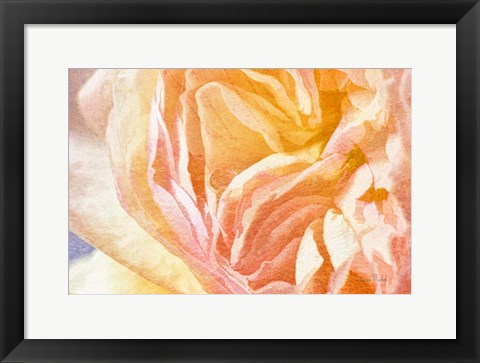 Framed Dew Drop In Print