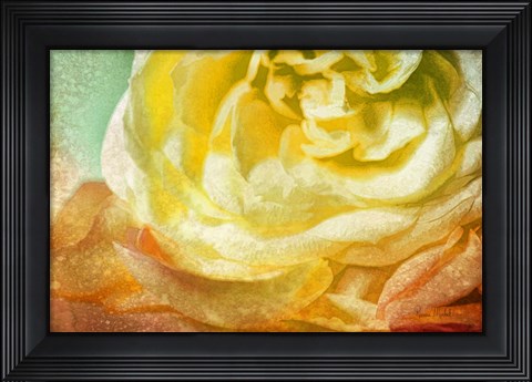 Framed Many Petals Print