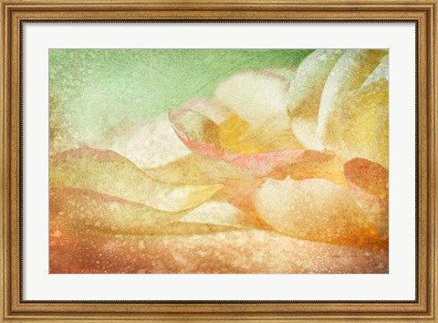 Framed Petals Galore Print