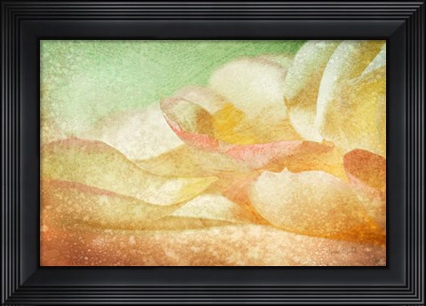 Framed Petals Galore Print
