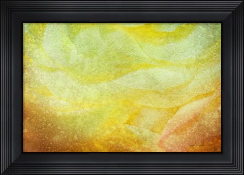 Framed Subtle Petals Print