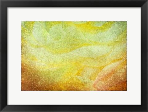 Framed Subtle Petals Print