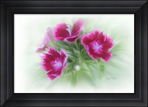 Framed Bachelor Buttons I Print