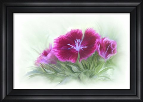 Framed Bachelor Buttons III Print