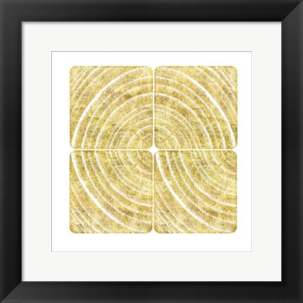 Framed Tree Ring Triptych I Print