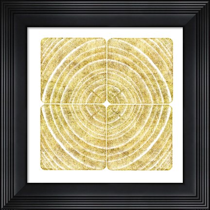 Framed Tree Ring Triptych II Print