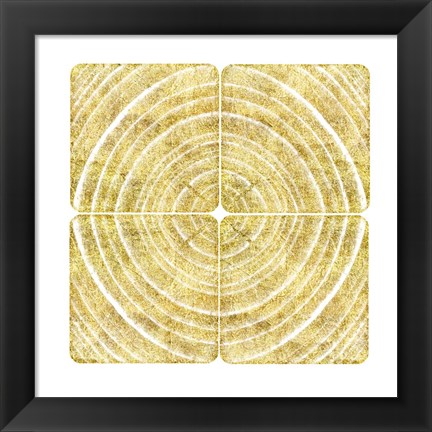 Framed Tree Ring Triptych II Print