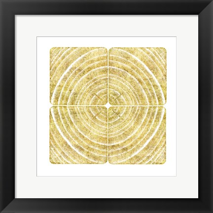 Framed Tree Ring Triptych II Print