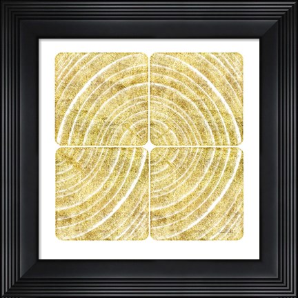 Framed Tree Ring Triptych III Print
