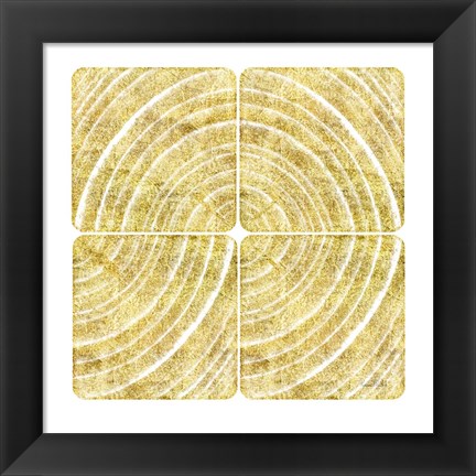 Framed Tree Ring Triptych III Print