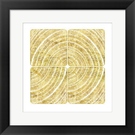 Framed Tree Ring Triptych III Print