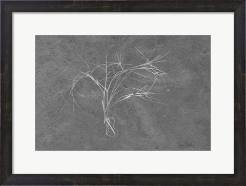 Framed Twiggy Algae Silver on Black Print