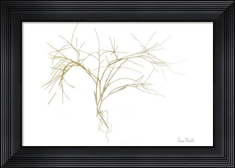 Framed Twiggy Algae Gold on White Print