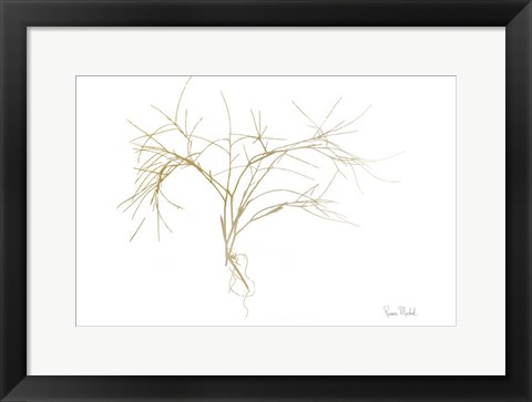 Framed Twiggy Algae Gold on White Print