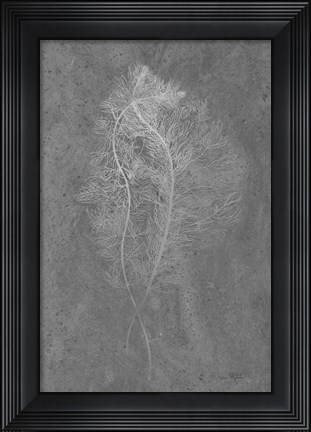 Framed Fern Algae Silver on Black Print