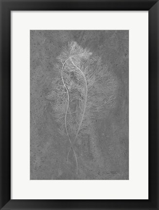 Framed Fern Algae Silver on Black Print