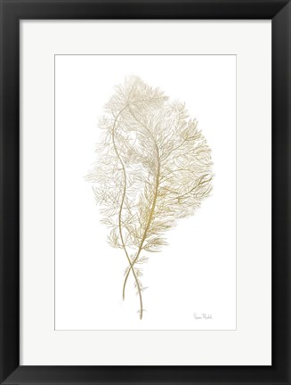 Framed Fern Algae Gold on White Print