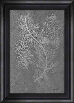 Framed Fern Algae Silver on Black 2 Print