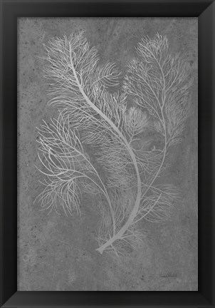 Framed Fern Algae Silver on Black 2 Print