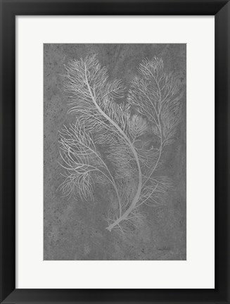 Framed Fern Algae Silver on Black 2 Print