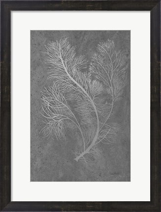 Framed Fern Algae Silver on Black 2 Print