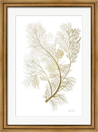 Framed Fern Algae Gold on White 2 Print