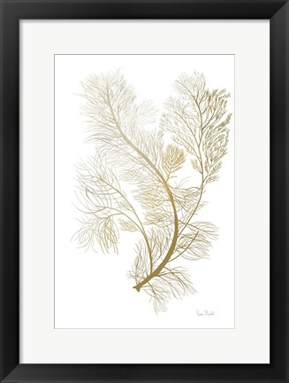 Framed Fern Algae Gold on White 2 Print