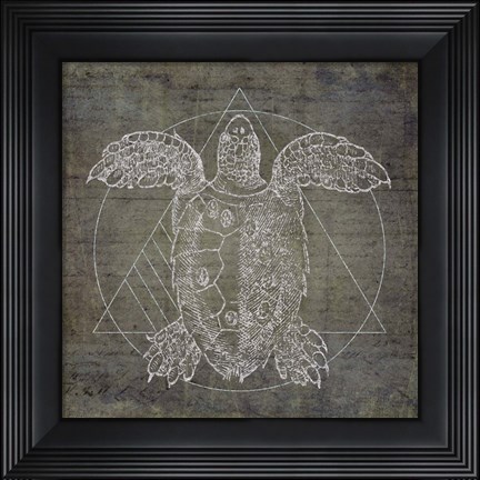 Framed Turtle Geometric Silver Print