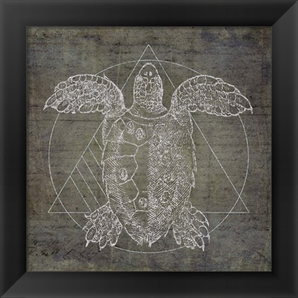 Framed Turtle Geometric Silver Print