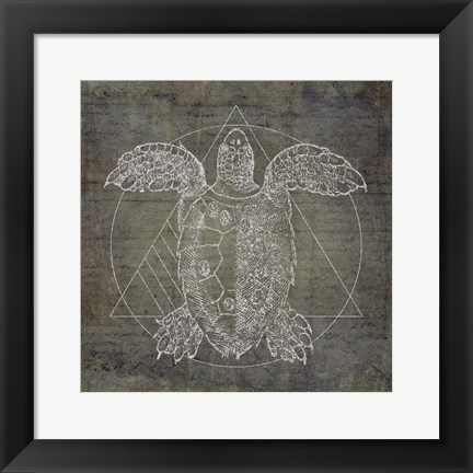 Framed Turtle Geometric Silver Print