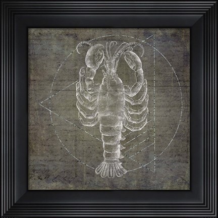 Framed Lobster Geometric Silver Print