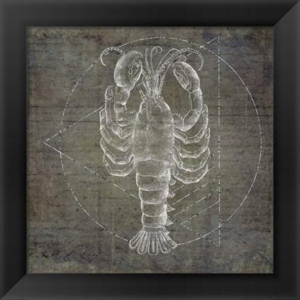 Framed Lobster Geometric Silver Print