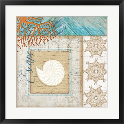 Framed Coastal Nautilus Shell Print
