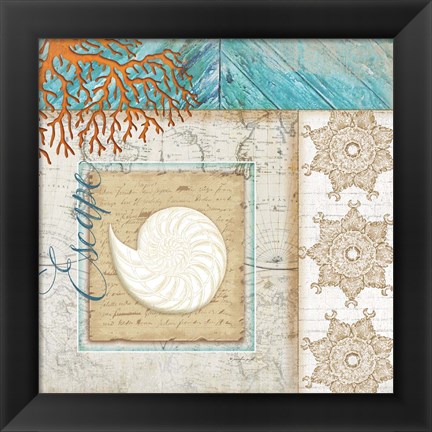 Framed Coastal Nautilus Shell Print