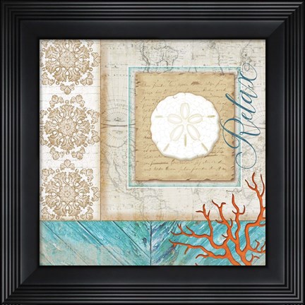 Framed Coastal Sand Dollar Print